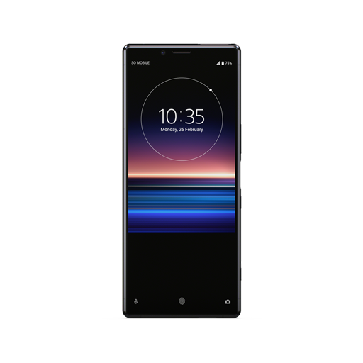 Sony Xperia 1 Charger Port Clean 