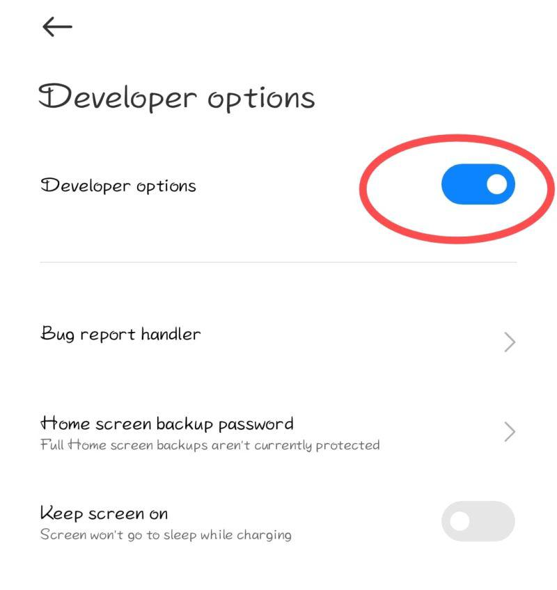Turn Off Special Feature or Developer Mode