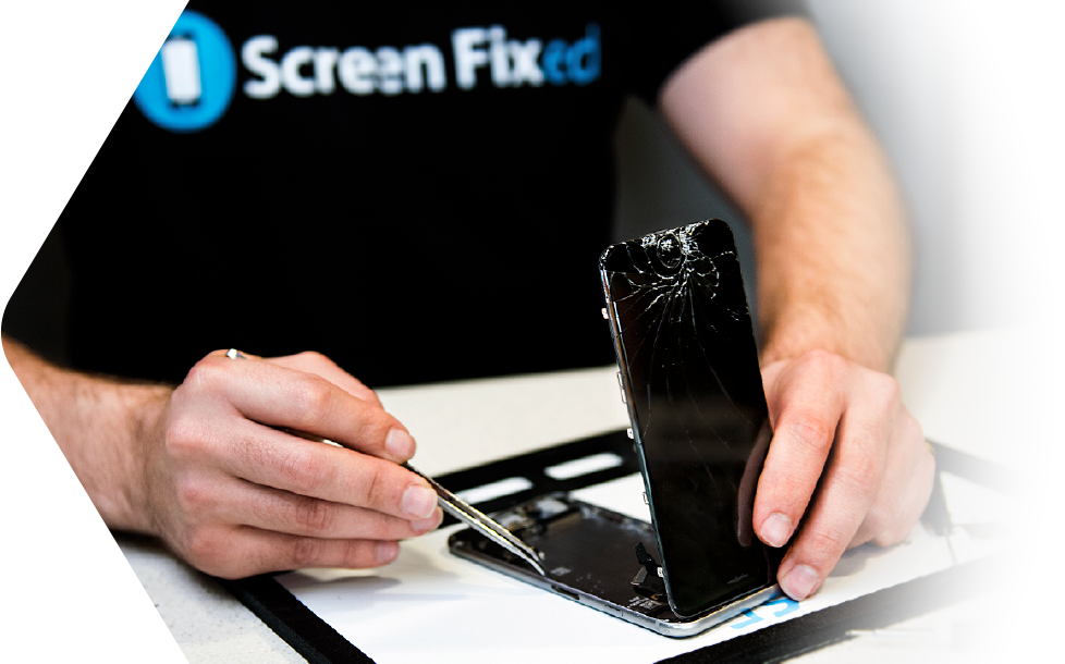 Screen Fixed Experts